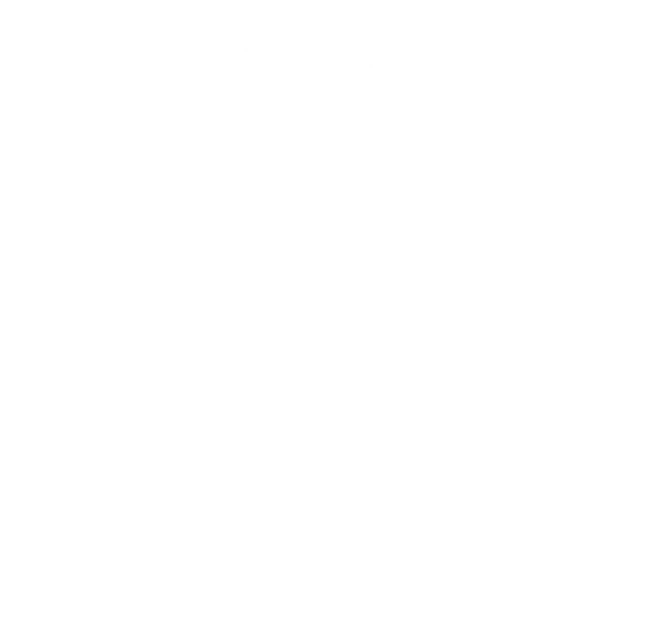Live2D · Portrait · 99901_L · Resource 999 from Stella Sora